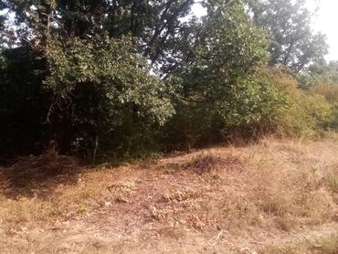 Prodaja zemljišta: 16 ares, Građevinarstvo, Vlasnik — 17