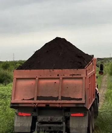 dəniz məhsulları satışı: Salam Ən tez catırılma bizdə.Buyurun Torpaqin Şəkilin və Vidyosun — 1