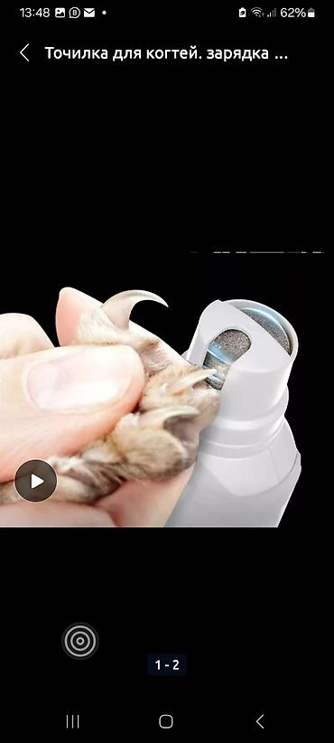 Зоотовары: Зоотовары. животные. Переноска номер 3размер 66.47.46 контейнер для at lalafo.kg — 4 Зоотовары: Зоотовары. животные. Переноска номер 3размер 66.47.46 контейнер для — 4