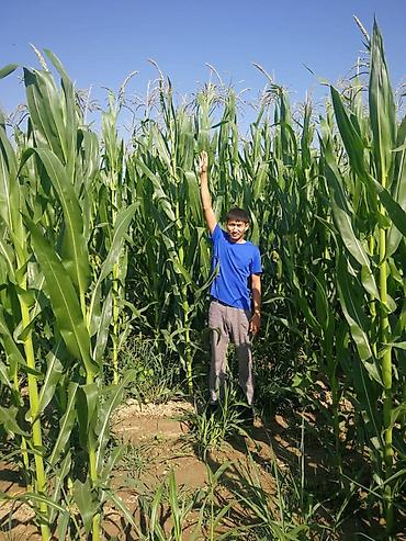 Удобрения и садовая химия: Удобрение Самовывоз — 11