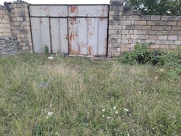 kənd: 24 sot, Biznes üçün, Maklerlər narahat etməsin, Kupça (Çıxarış) — 5