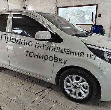 тонировка разрешения: Услуга: оформление разрешений на тонировку офицально 10 месяц - — 1