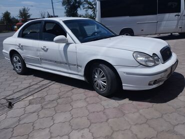садовый измелчитель: Белый седан Hyundai Sonata с характерными округлыми фарами и