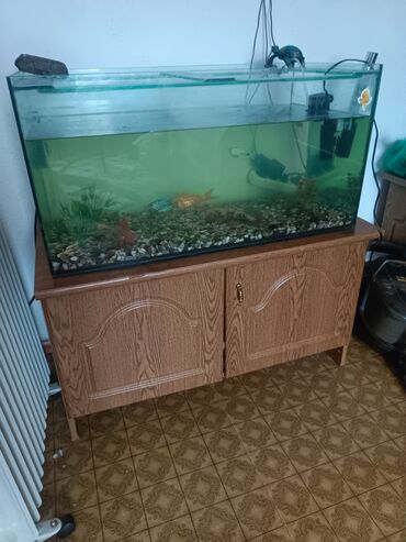 компрессор для аквариумов: Аквариумный комплект на тумбе - Прямоугольный стеклянный аквариум