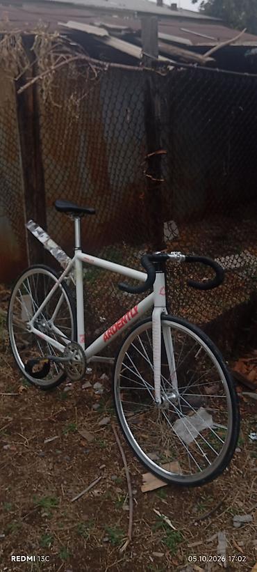 Спорт и хобби: Фикс-байк (fixed gear) Ardent/Adrenalite - Рама и вилка: легкий — 1