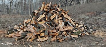 каракол дрова: Дрова Бесплатная доставка