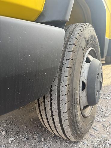 Грузовики: Грузовик, Iveco, Стандарт — 11