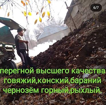 upper intermediate: Перегной кык перегной кык высшего качества выдержки 5 лет — 2