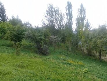 Torpaq sahələrinin satışı: 16 sot, Tikinti, Mülkiyyətçi, Kupça (Çıxarış) — 4