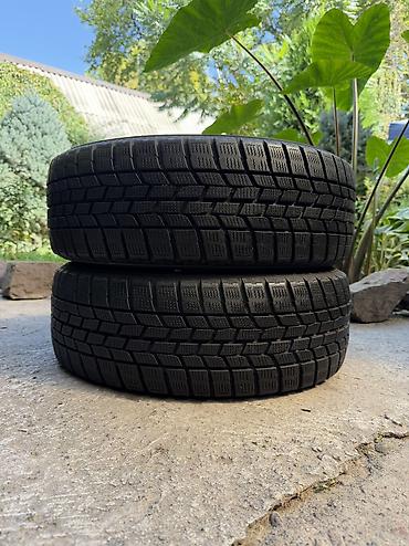 112 5: Шины 195 / 55 / R 16, Зима, Б/у, Пара, Легковые, Япония, GoodYear — 1
