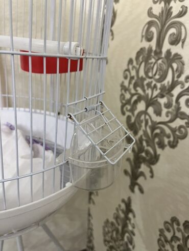 Qəfəslər: Ağ rəngli asılqanlı quş qəfəsi - Dairəvi, günbəz formalı metal — 4