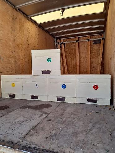 Товары и оборудование для с/х животных: Предлагаются ульи Дадан и 6-рамочники для пчеловодства. Ульи Дадан — 7