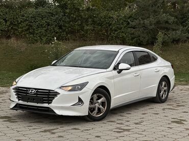 елентра хундай: Hyundai Sonata (седан, белый цвет) Основное: - Кузов: динамичный