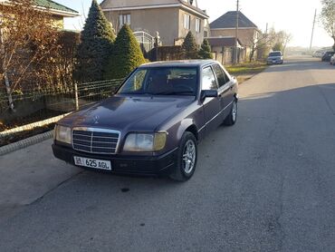 Mercedes-Benz: Mercedes-Benz W124: 1993 г., 2 л, Механика, Бензин, Седан