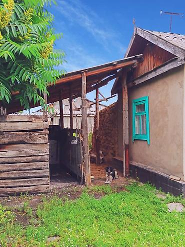 слив пантеры котетдж: 7 соток — 8