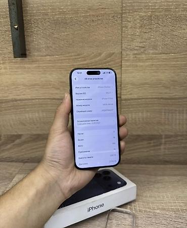 aple woth: IPhone 17 Pro, Б/у, 256 ГБ, Синий, Чехол, 100 % — 4