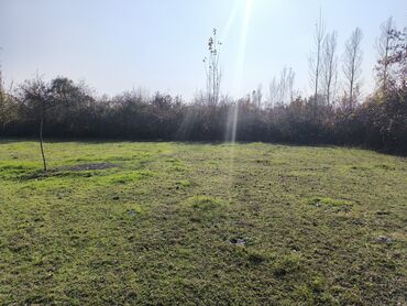 Torpaq sahələrinin satışı: 20 sot, Tikinti, Mülkiyyətçi, Kupça (Çıxarış) — 10