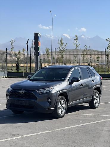 пампа: Toyota RAV4: 2020 г., 2.5 л, Автомат, Бензин, Кроссовер — 1