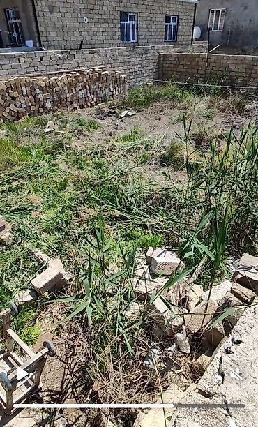 naxcvan: 2 sot, Tikinti, Mülkiyyətçi, Kupça (Çıxarış) — 1