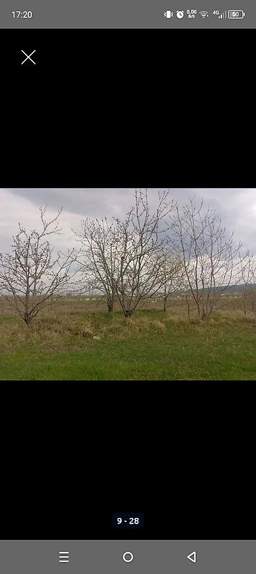 Torpaq sahələrinin satışı: Kənd təsərrüfatı — 8