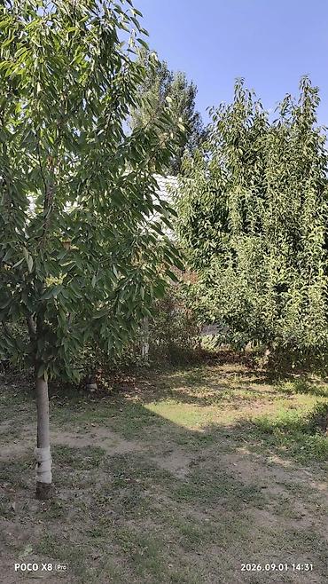 40 м², 2 бөлмө, Ак-Босого ж/м, Жаныбарлары жок