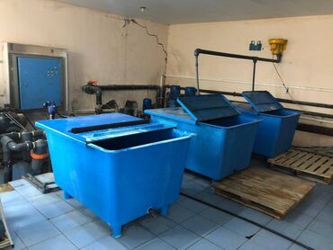 Kommersiya daşınmaz əmlakının satışı: Zirə Kəndi, 10 hektar sahəsi olan parnik satılır. 5 hektar yarım — 8