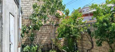 Ağaclar: Heyet evi tecili satilir torpax qiymetine yerlesir xirdalanda -da lalafo.az — 9 Ağaclar: Heyet evi tecili satilir torpax qiymetine yerlesir xirdalanda — 9