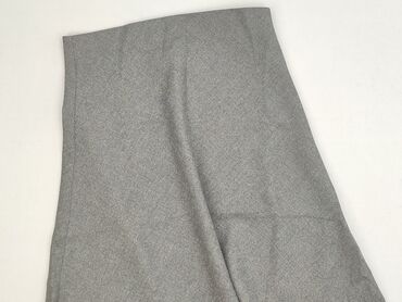 hexeline spódnice: Zara, Women`s skirt, size L