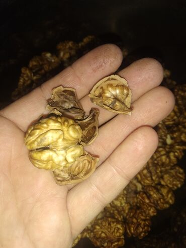 Сухофрукты, орехи, снеки: Продаю орехи крупные тонко-корые в кожуре орехи светлые в нутрии и с