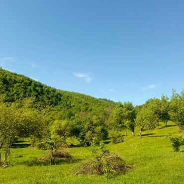 quba hovuzlu kirayə evlər: 100 sot, Tikinti, Mülkiyyətçi, Kupça (Çıxarış)