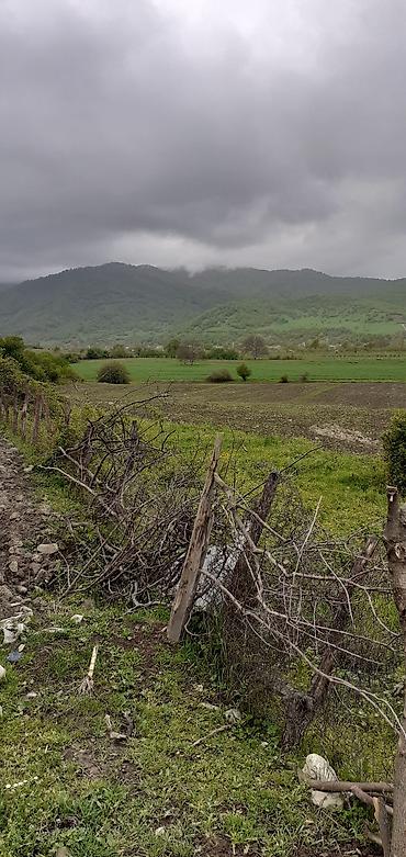 quba rayonu: 41 sot, Kənd təsərrüfatı, Mülkiyyətçi — 5