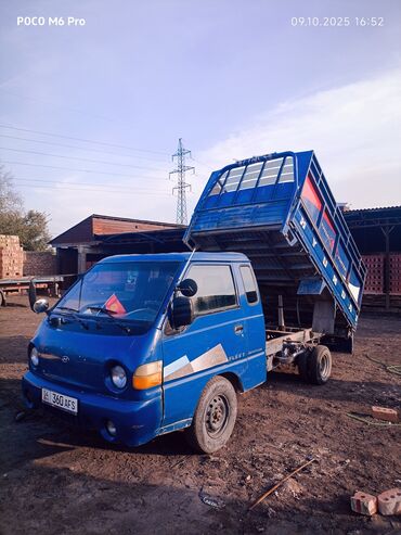 хюндай галлопер: Hyundai Porter: 2025 г., Пикап