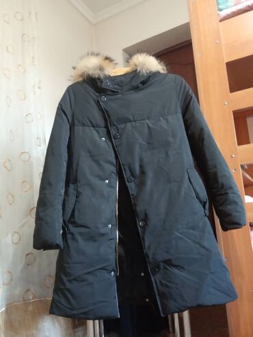 холофайбер in Кыргызстан | КУРТКИ: Женская куртка L, цвет - Черный