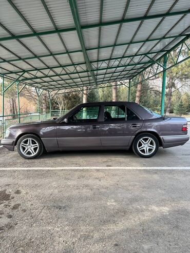 Mercedes-Benz 220: 1994 г., 2.2 л, Автомат, Бензин