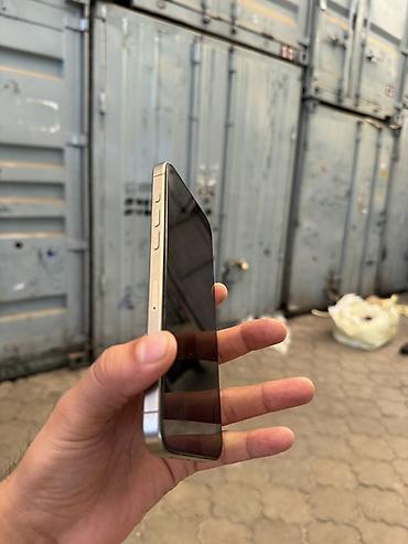 ipone x: Apple iPhone (серия Pro, титановый/серебристый цвет) - Корпус с — 2