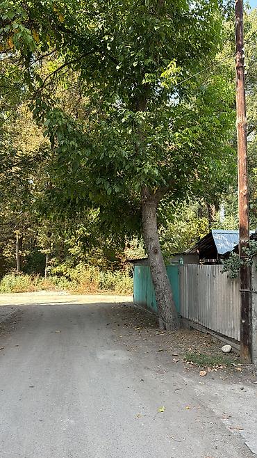 rent: 67 м², 4 комнаты, ул. Баялинова / Орозбекова — 2