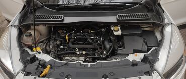 Ford: Ford Escape: 1.5 l | 2019 il 195400 km Ofrouder/SUV — 16