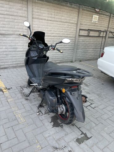 катер для рыбалки купить: Макси скутер Honda, 160 куб. см, Бензин, Б/у
