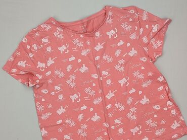 pitbull koszulka termoaktywna: Primark, Women`s T-shirt, size M (EU 38)