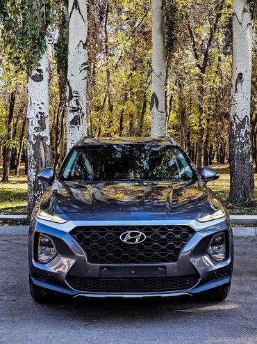 Hyundai: Hyundai Santa Fe: 2018 г., 2 л, Автомат, Дизель, Внедорожник