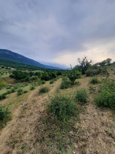 Torpaq sahələrinin satışı: 33 sot, Tikinti, Barter mümkündür, Kupça (Çıxarış) -da lalafo.az — 12 Torpaq sahələrinin satışı: 33 sot, Tikinti, Barter mümkündür, Kupça (Çıxarış) — 12
