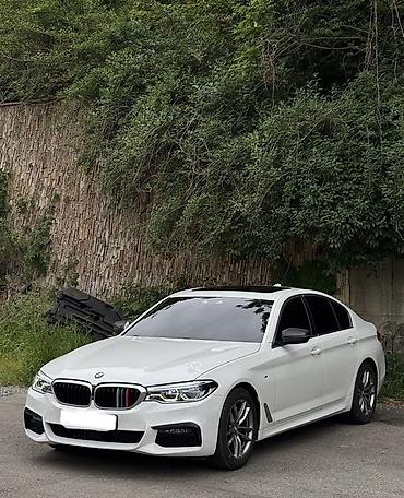 атего эвро 6: BMW 520: 2019 г., 2 л, Автомат, Дизель, Седан — 2