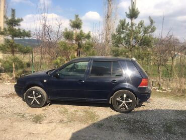 фольксваген пассат: Volkswagen Golf: 1999 г., 1.6 л, Автомат, Бензин, Хэтчбэк