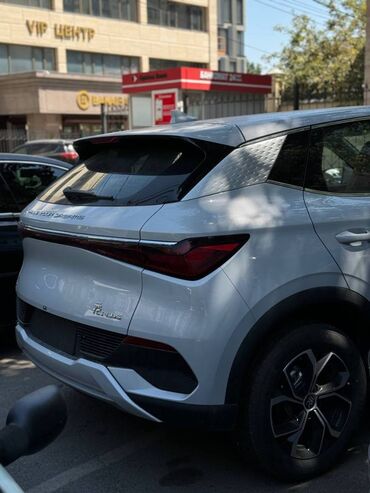 BYD: BYD : 2024 г., Электромобиль — 21