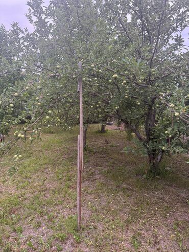 Продажа домов: Дом, 100 м², 5 комнат, Собственник, Евроремонт — 27