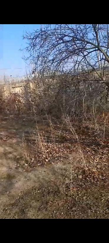 Torpaq sahələrinin satışı: 6 sot, Kupça (Çıxarış) — 15