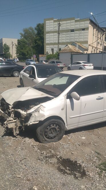 runx alex: Toyota Allex: 2003 г., 1.6 л, Автомат, Бензин, Хетчбек