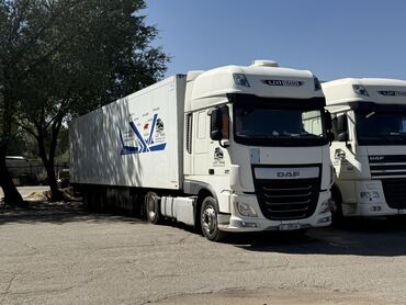 сиденья на одисей: Сүйрөгүч, DAF, Рефрижератор