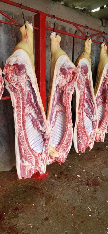 особое мясо: Мясо свинное домашнее,частями, полутушами тушами,пожирнее похудее