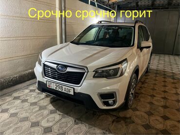 Subaru: Subaru Forester: 2020 г., 2.5 л, Вариатор, Бензин, Универсал